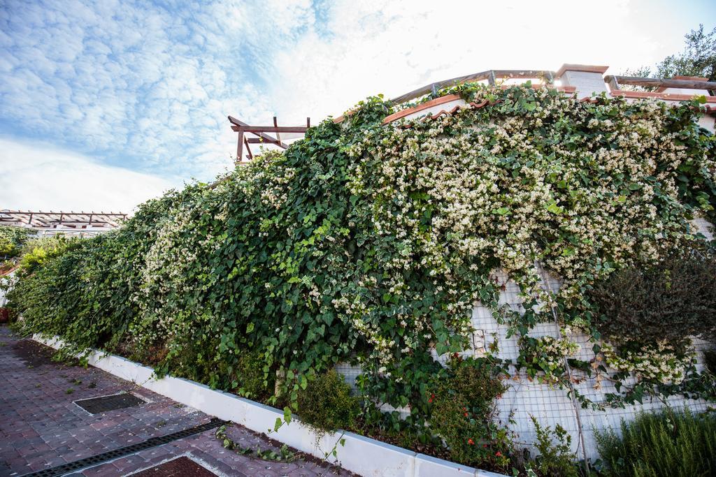 Holiday Lodge Al Porto Маттіната Екстер'єр фото